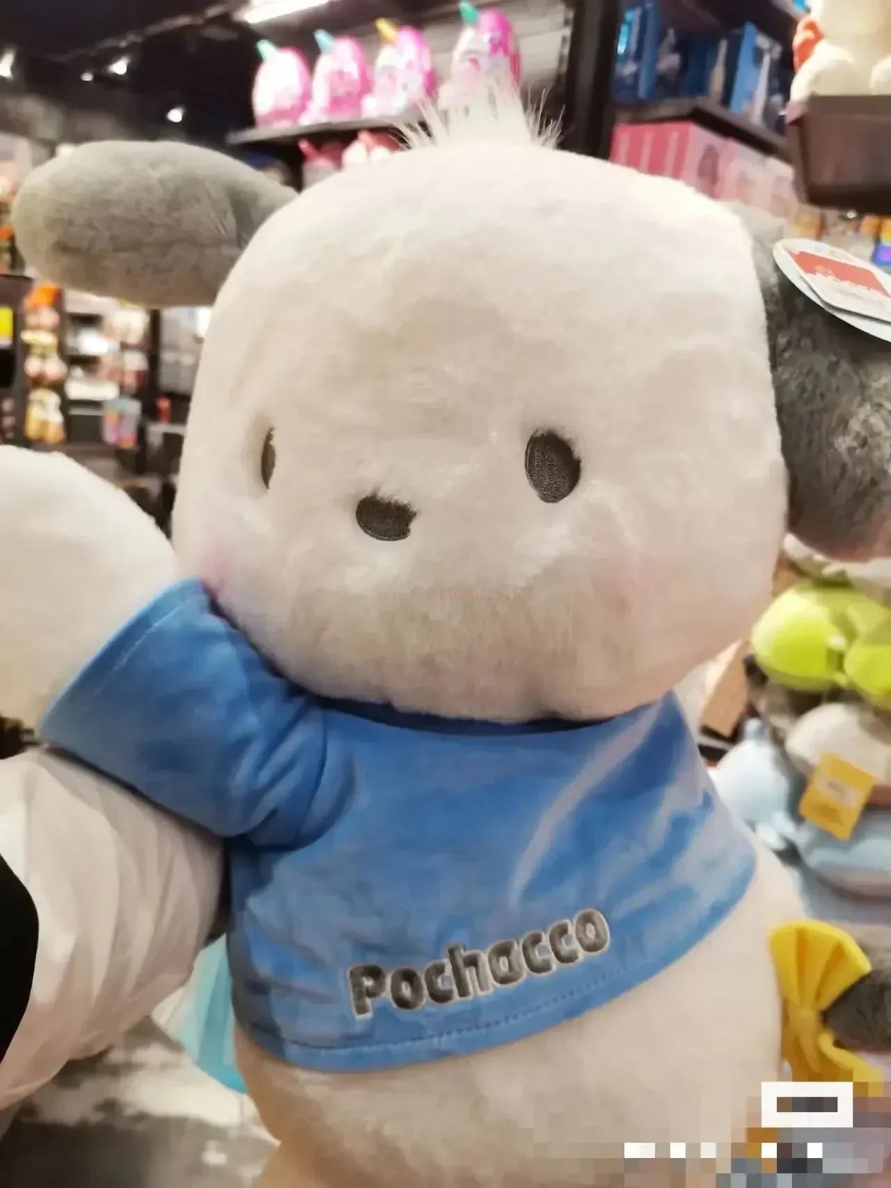 Sanrio Pochacco Plush Toys